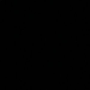 Meet your Posher, Ray